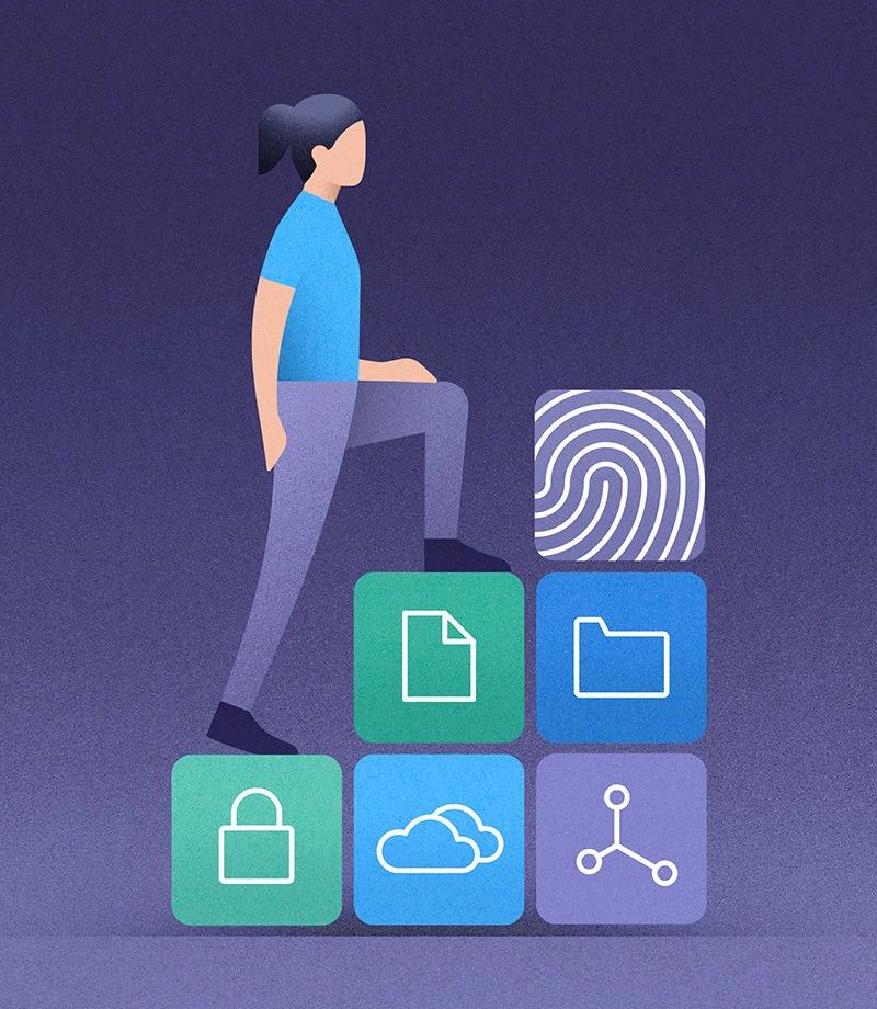 DPSS implementation plan 2026